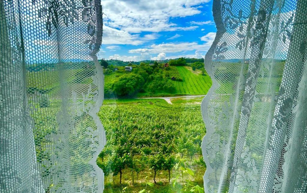 Apartment Wine Paradise Sveti Ivan Zelina Exterior foto
